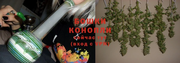 spice Елабуга