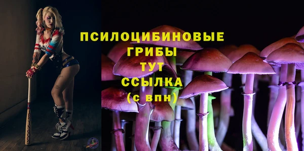 spice Елабуга