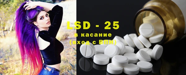 шишки Елизово