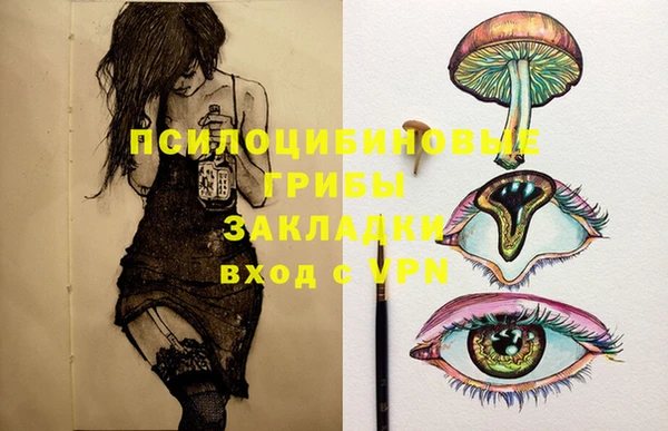 шишки Елизово