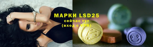 шишки Елизово