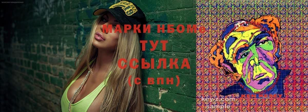 шишки Елизово