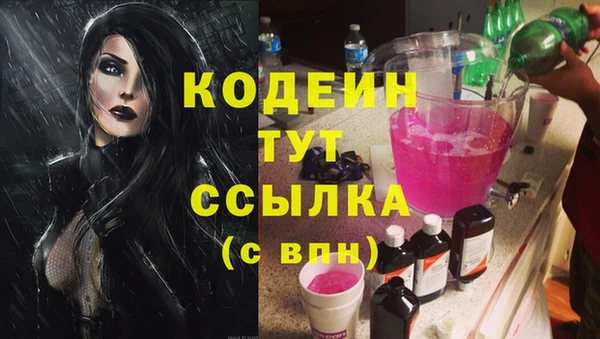 шишки Елизово