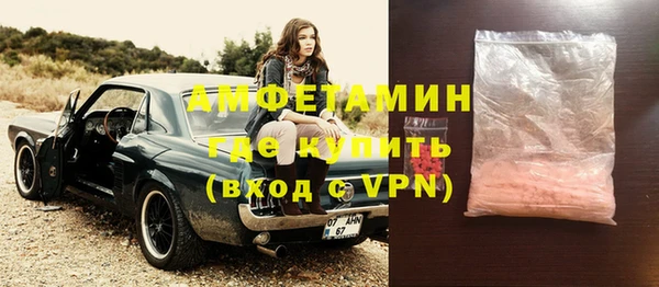 шишки Елизово