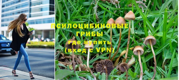 spice Елабуга